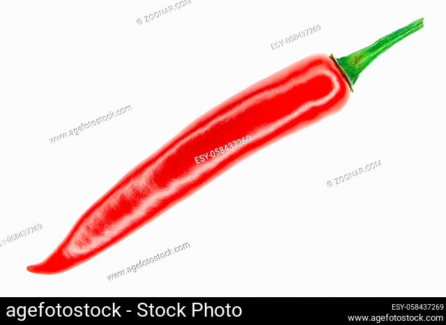 red hot chili pepper isolated on a white background. Spicy foods, spices and cooking ingredients