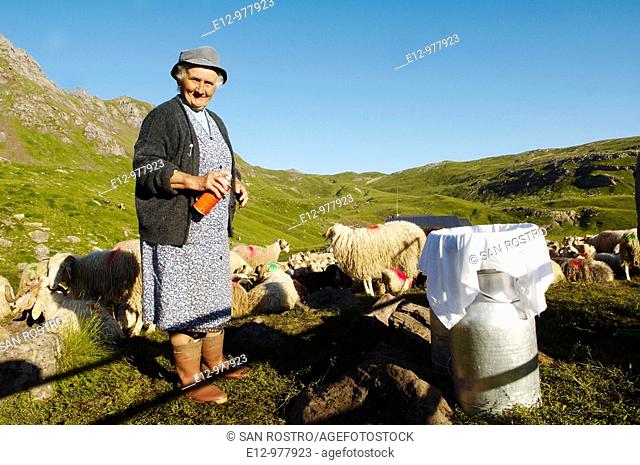 France, Pyrenees mounts, Pyrenees-Atlantic department, Aspe valley, familly Domengeus Nouqueret summer farm, milking time