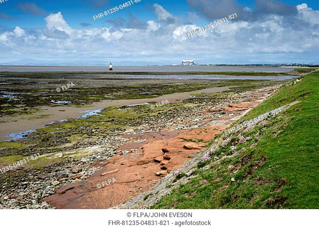 View over estuary with lighthouse, looking towards Furness Peninsula, Plover Scar Lighthouse, River Lune, Cockerham Sands, Morecambe Bay, Lancashire, England