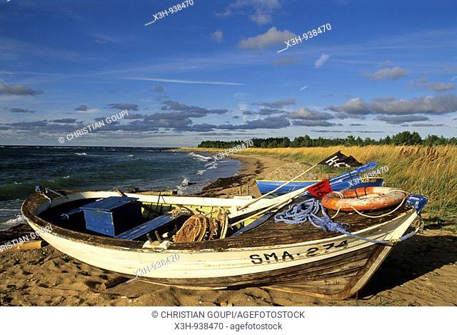 littoral a Panga, ile de Saaremaa, region de Saare, Estonie, pays balte, europe du nord