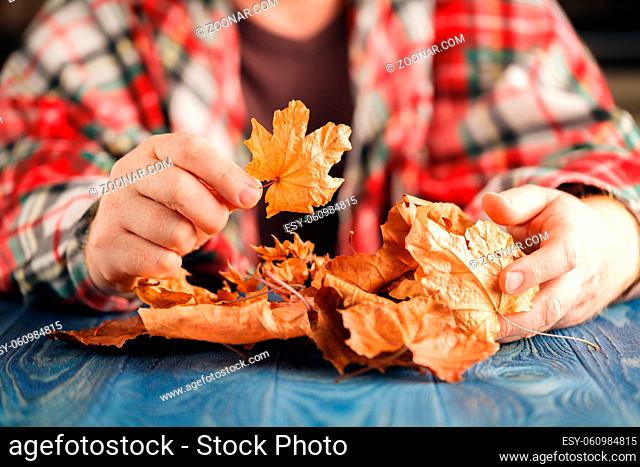 Heap of autumn leaf in hands