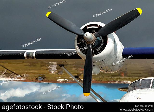 Close-up of a Catalina Flying Boat