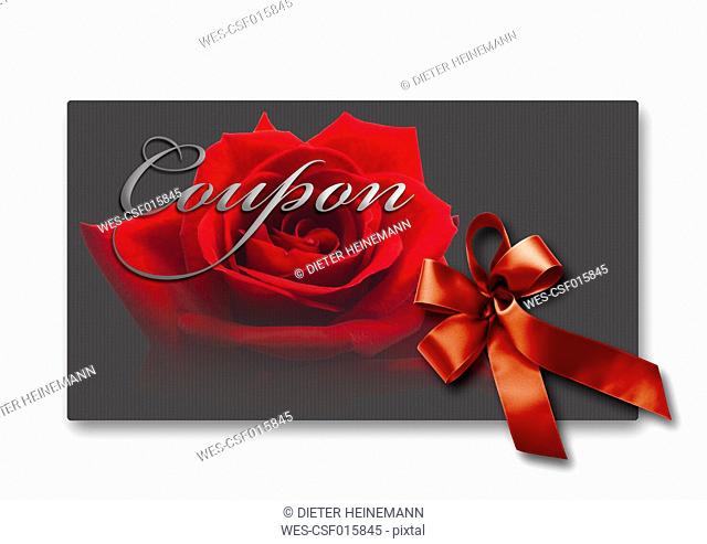 Coupon card with red rose and ribbon against white background, close up