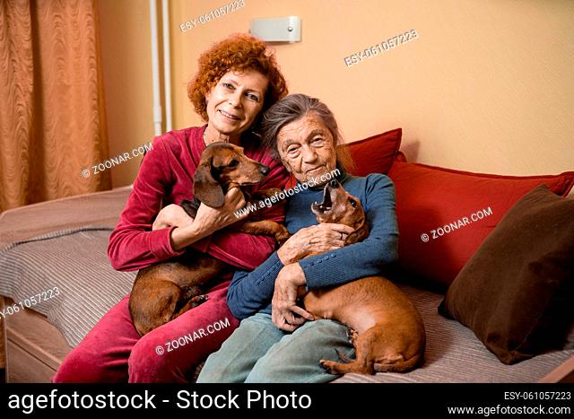 Elder woman and her adult daughter together with two dachshund dogs on sofa indoors spend time happily, portrait. Theme of mother and daughter relationship