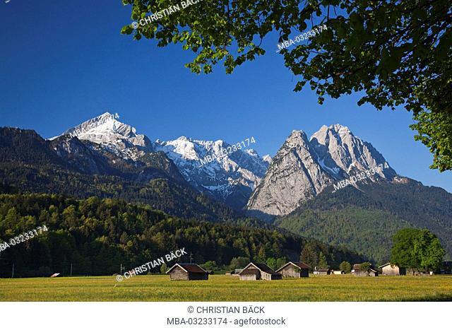 Spring meadow with view at the Wetterstein mountains, Garmisch-Partenkirchen, Bavaria, Germany