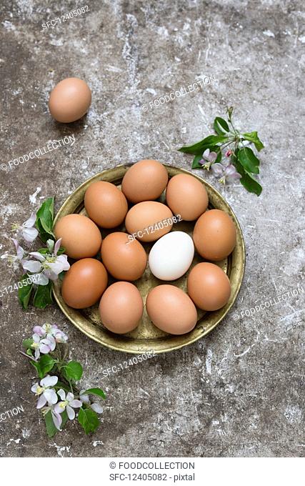 Fresh eggs in a brass bowl