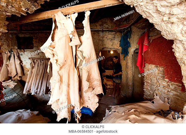 North Africa, Morocco, Fes district, Medina of Fes, Leather processing