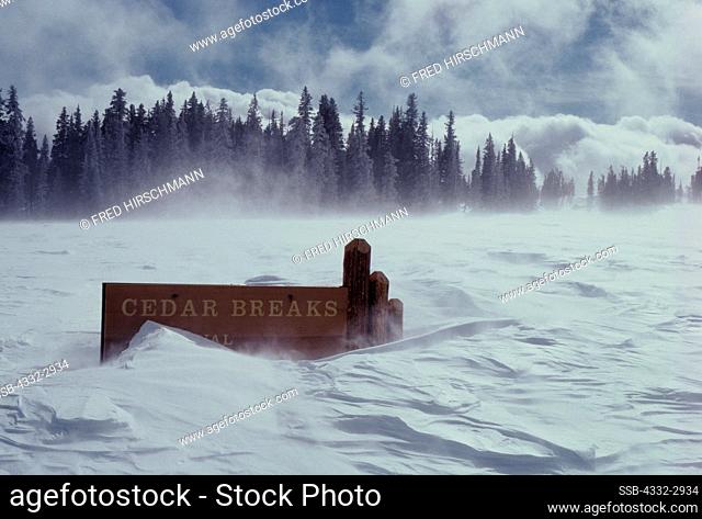 Ground Blizzard at Entrance to Cedar Breaks National Monument, Utah