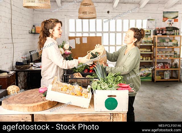 Customer passing vegetable basket to grocer in shop