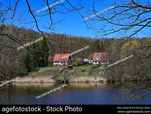 17 April 2022, Brandenburg, Siehdichum: Spring at the Hammersee in the Schlaubetal Nature Park. Founded at the end of 1995