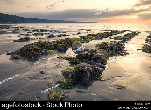Peppercombe beach at sunset on the North Devon coast with Hartland point in the distance, England