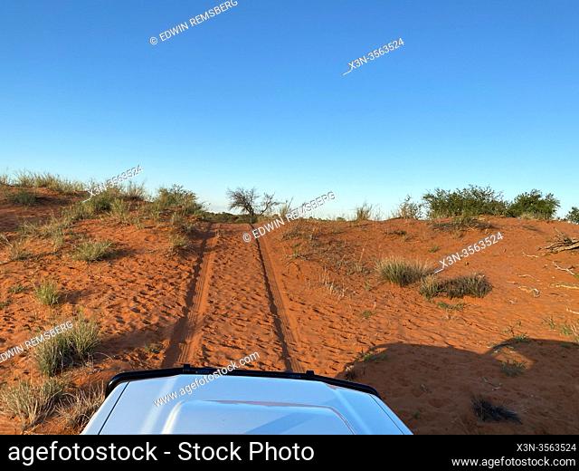 Driving Up a Red Sand Dune in the Kalahari Desert, Namibia