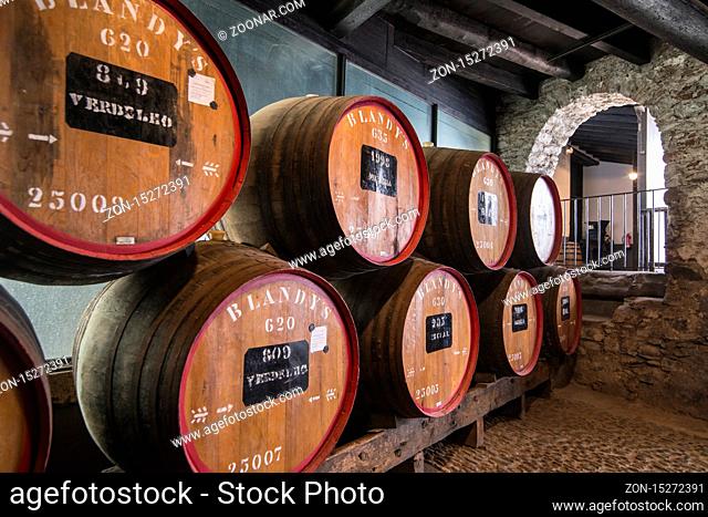 the wine barrel at the wine cellar in the Madeira wine company of Blandys in the city centre of Funchal on the Island Madeira of Portugal