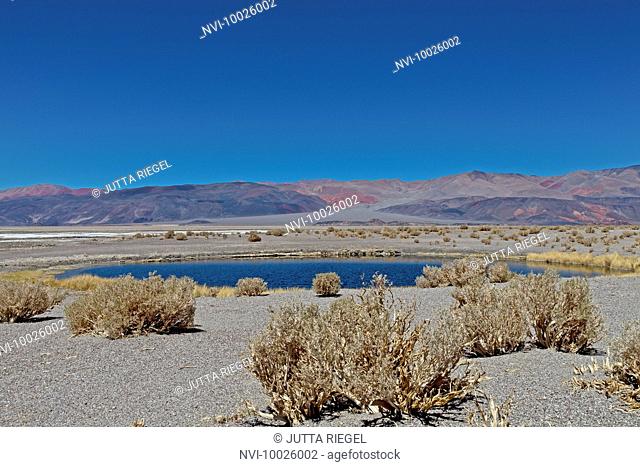 Ojos del Campo, Salar de Antofalla, Puna desert, Catamarca Province, Argentina, South America
