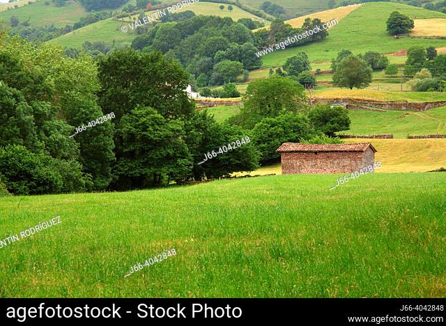 Landscape of meadows near of Erratzu in the Baztán valley. Navarra