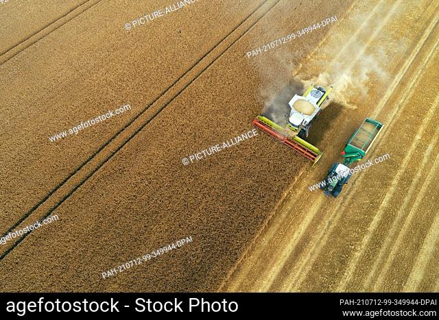 07 July 2021, Saxony-Anhalt, Zilly: View of a grain field with barley. In the grain fields of Saxony-Anhalt, farmers have begun harvesting
