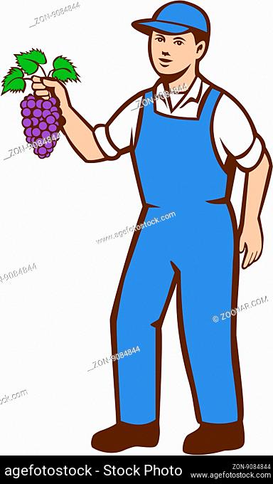 Illustration of an organic farmer boy wearing hat standing holding grapes viewed from the front set on isolated white background done in retro style