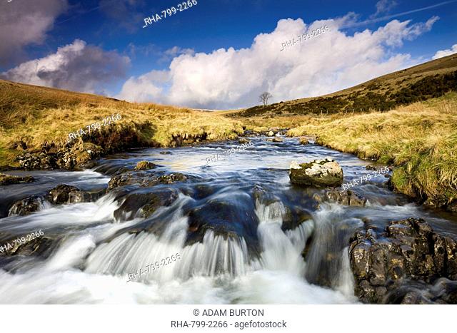 Rocky River Tawe in the moorland of forest Fawr (Great Forest), Brecon Beacons National Park, Powys, Wales, United Kingdom, Europe