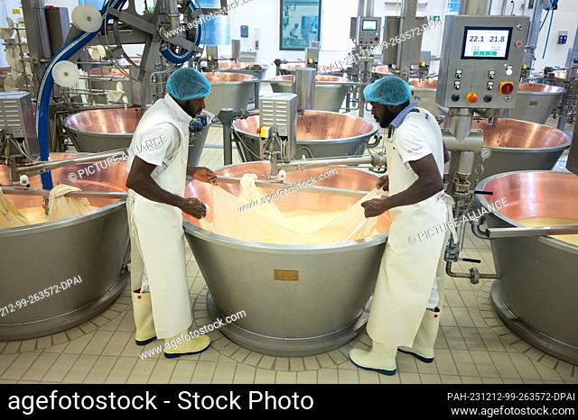 13 October 2023, Italy, Modena: Employees at the 4 Madonne Caseificio dell'Emilia cheese dairy use a linen cloth to lift the cheese granules from a copper vat...