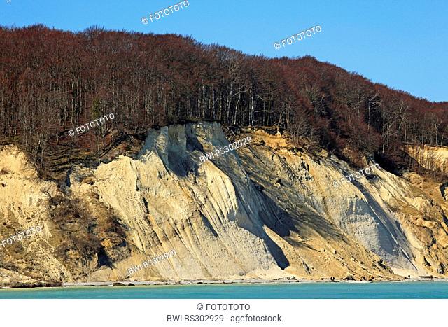 view from the sea at the steep coast with the famous chalk cliffs and some promenaders on the narrow beach below, Germany, Mecklenburg-Western Pomerania