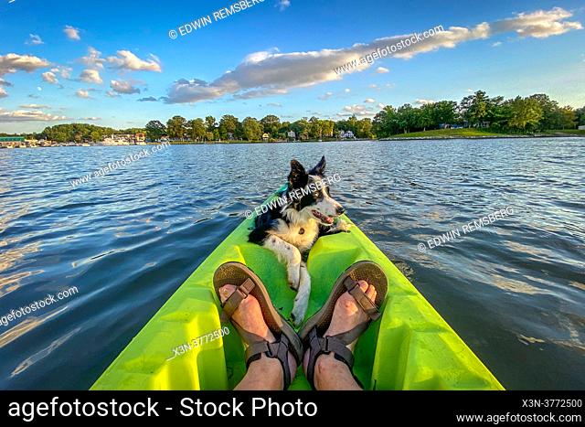 Dog in Kayak Middle River Maryland