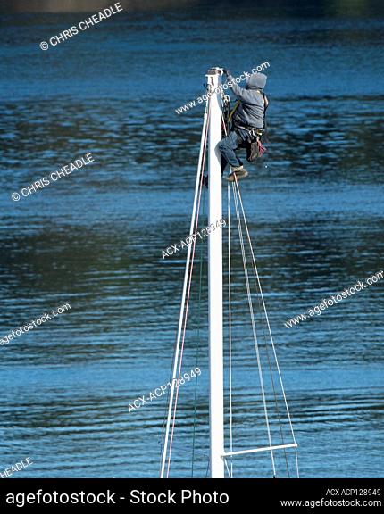 Rigger works atop sailboat mast, Sidney, Brtish Columbia, Canada