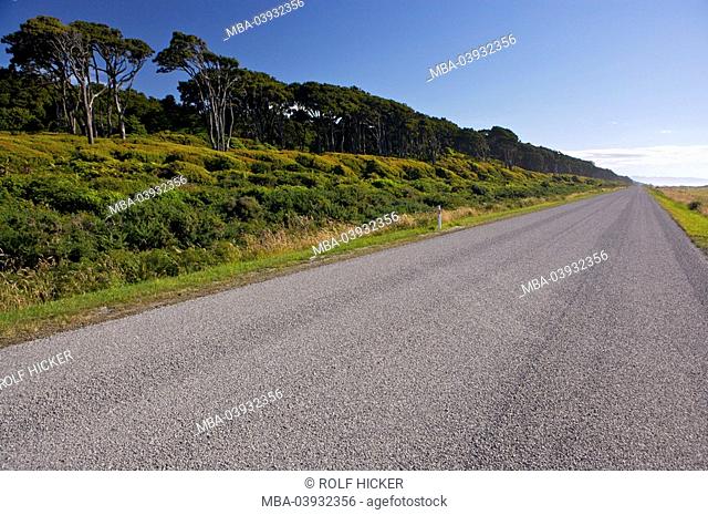New Zealand, South-island, west-country, Highway 6, west coast, destination, Glacier Highway, country road, asphalt, roadway, outside, deserted, wideness