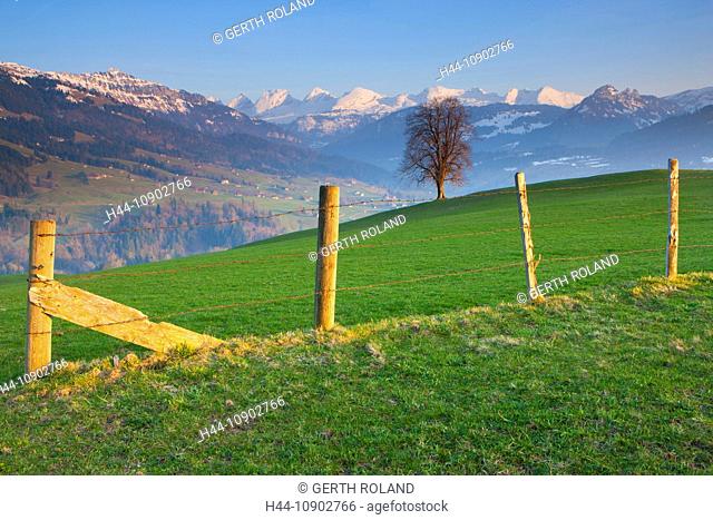 Ennetbühl, Switzerland, Europe, canton St. Gallen, Toggenburg, mountains, Churfirsten, meadow, tree, fence, spring