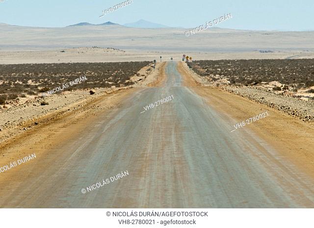 Dirt road. Pacific Coast. Región de la Serena. IV Región de Coquimbo. Chile. South America