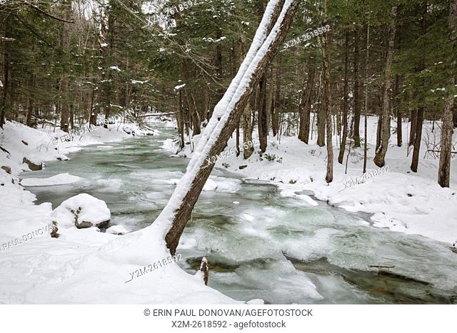 Twin Brook in Albany, New Hampshire USA during the winter months
