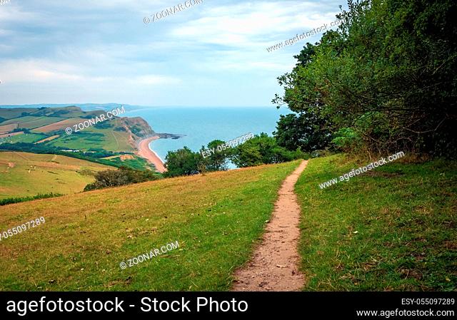 Green fields on a hill with the sea English Channel and English countryside in the background. Golden Cap on jurassic coast in Dorset, UK