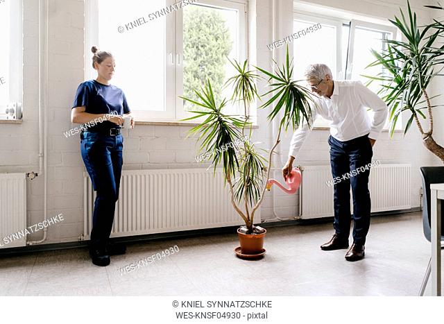 Manager watering plants in recreation room, while worker is drinking coffee