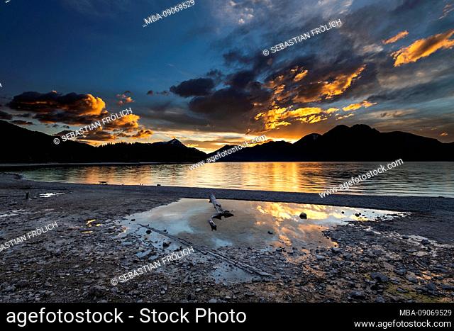 Tree trunk on the shore of Walchensee during sunset with reflection of the Bavarian Prealps, the Herzogstand and Simetsberg