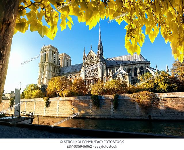 Famous cathedral Notre Dame de Paris in France