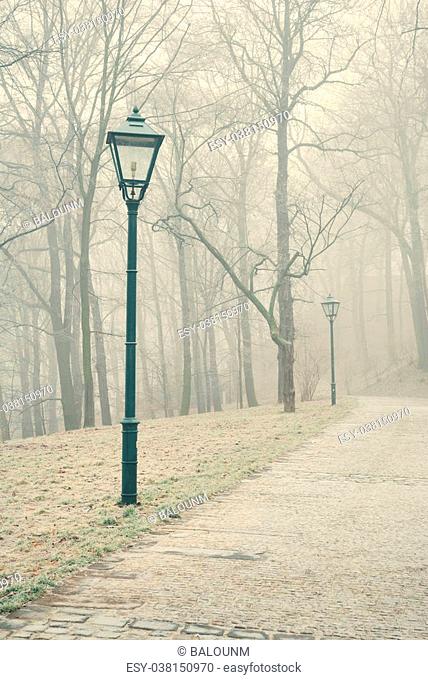 Street lamps in misty forest park