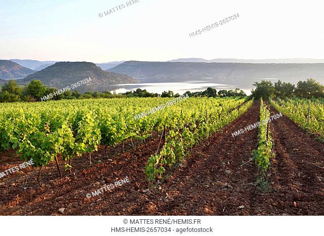 France, Herault, vineyards in the region of the Lake of Salagou