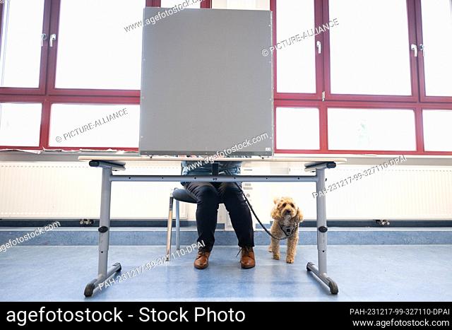 17 December 2023, Saxony, Pirna: A woman sits next to a dog in a polling booth at an elementary school polling station to cast her vote