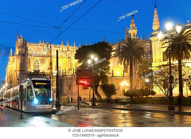 Constitution Avenue Cathedral and Metrocentro tram, Seville, Spain