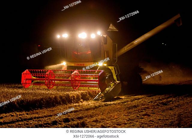 Combine Harvester, harvesting corn at night with lights on, Lower Saxony, Germany