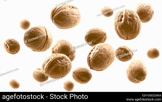 Whole walnuts levitate on a white background