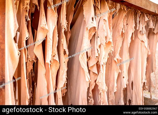 Drying and hanging leather in Chouara Tannery, Fez, Morocco