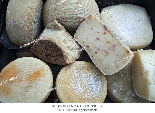 Pecorino del Monte Poro (cheese), Vibo Valentia, district of Vibo Valentia, Calabria, Italy