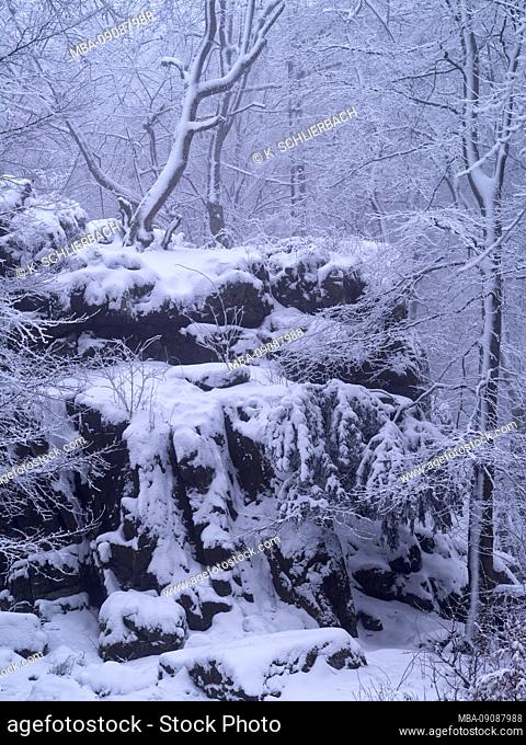 Europe, Germany, Hesse, Siegbach, Lahn-Dill-Bergland Nature Park, winter at the Wilhelmsteinen