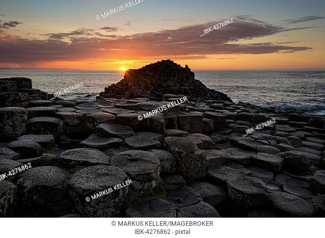 Basalt columns by the coast at sunset, Giant's Causeway, County Antrim, Northern Ireland, United Kingdom