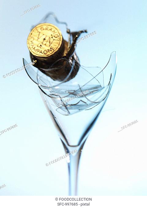 Champagne cork on broken champagne glass