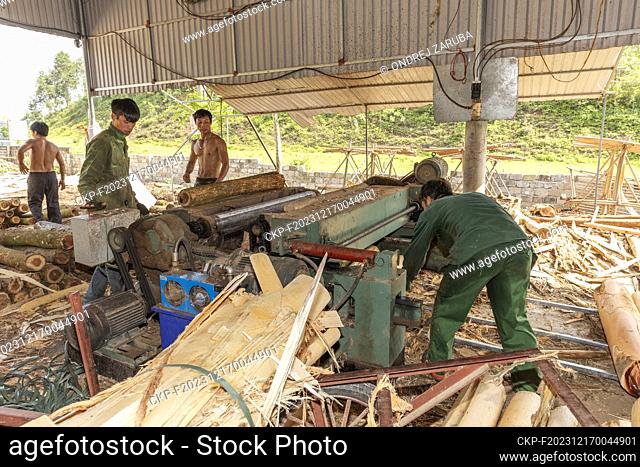 production of veneer by local workers in countryside (CTK Photo/Ondrej Zaruba)