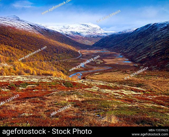 Europe, Norway, Oppland, Rondane National Park, autumn in the valley of the Grimsdalselva river