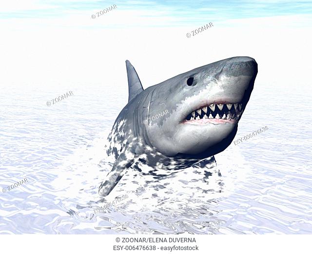 Shark attack - 3D render