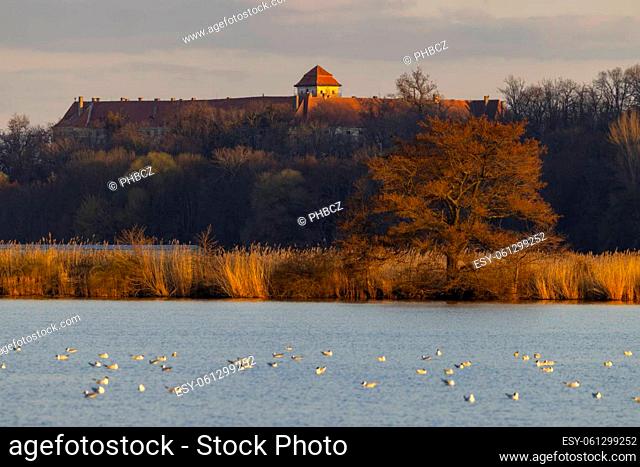 Jaroslavice castle with pond, Znojmo region, Southern Moravia, Czech Republic