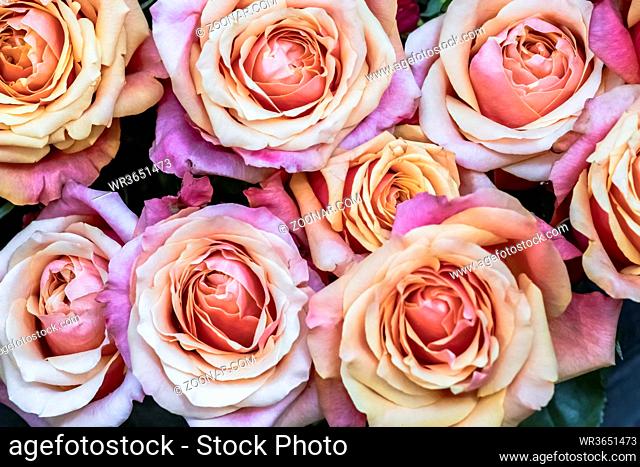 Strauß mit altrosa farbenen Rosen